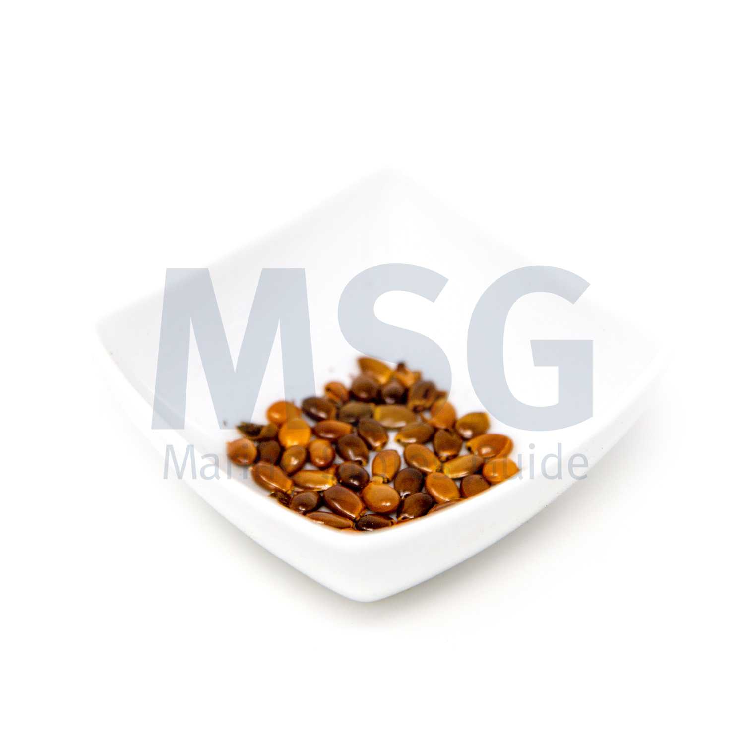 ANISEED WHOLE