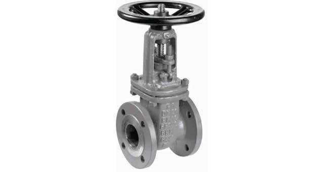 GATE VALVE DIN CARBON STEEL, FLANGED PN10 #309 65MM