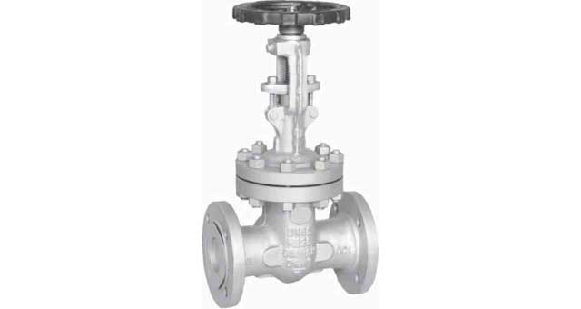 GATE VALVE DIN CAST STEEL PN25, FLANGED #3825 DN 65