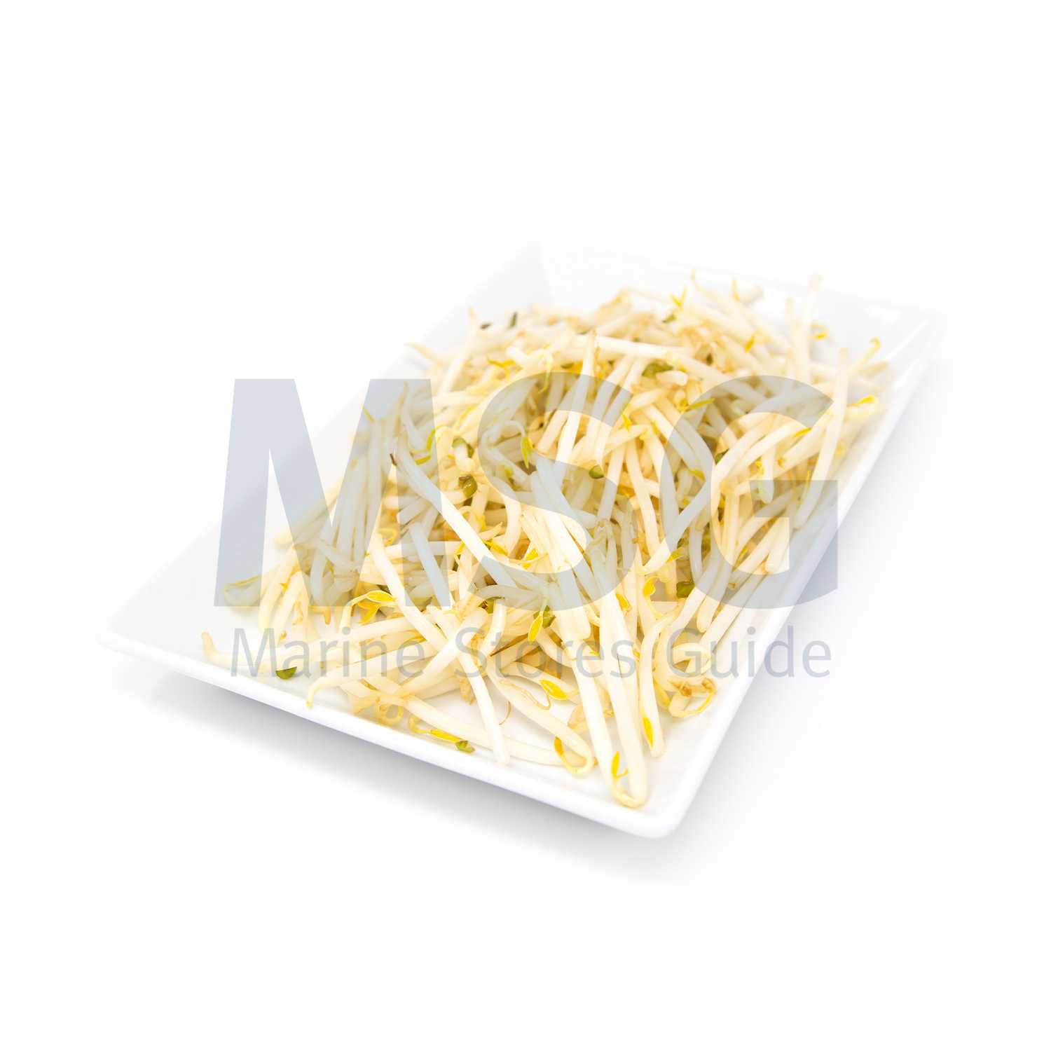 BEAN SPROUT LARGE (SOYA) FRESH