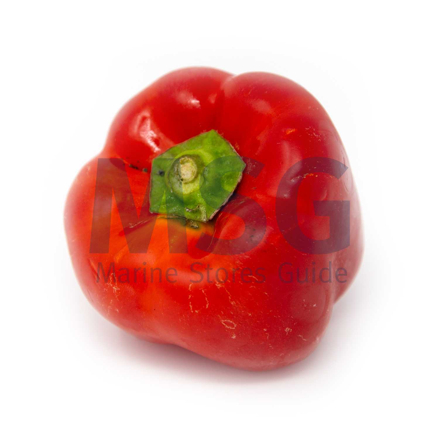 PEPPER BELL RED FRESH