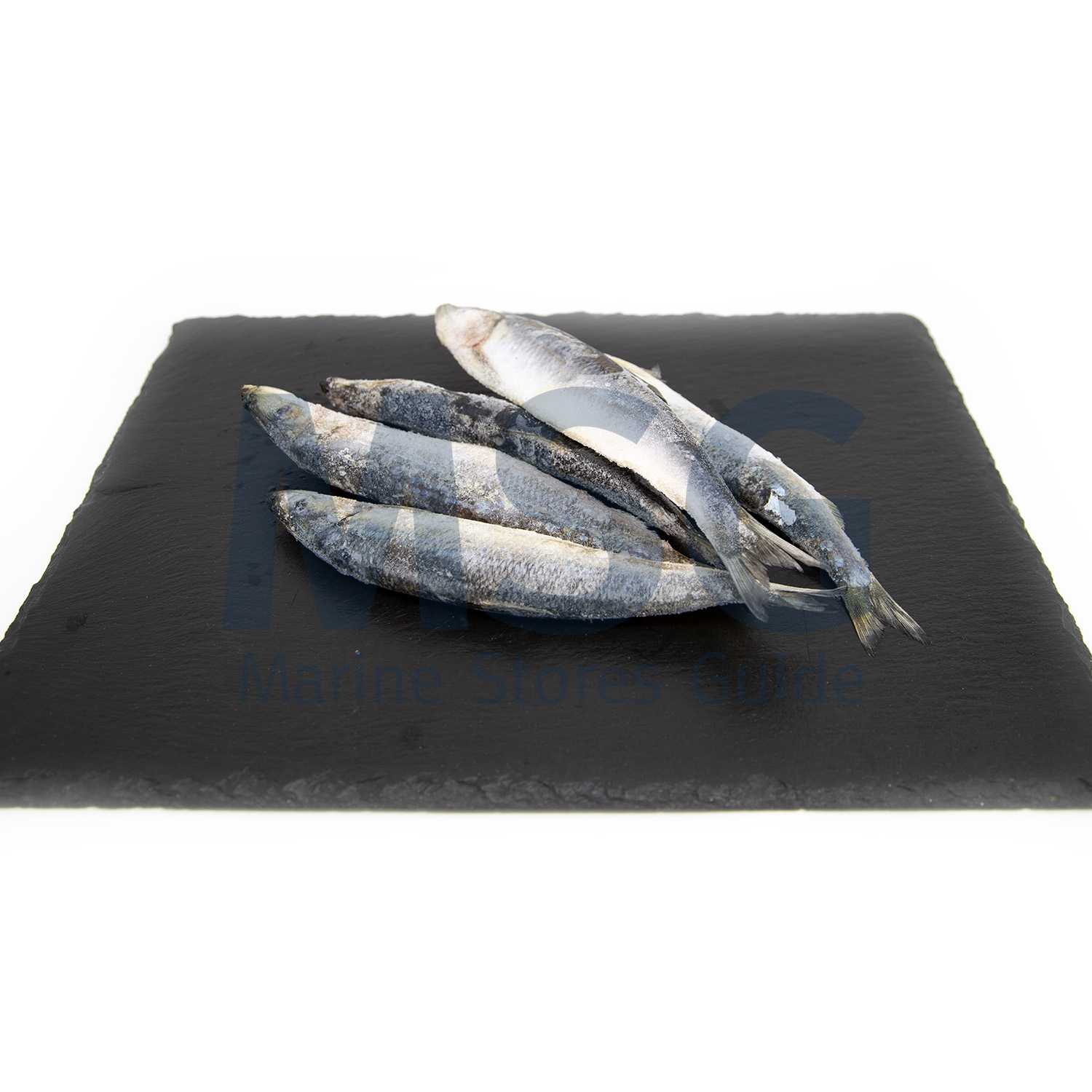 MACKEREL FROZEN