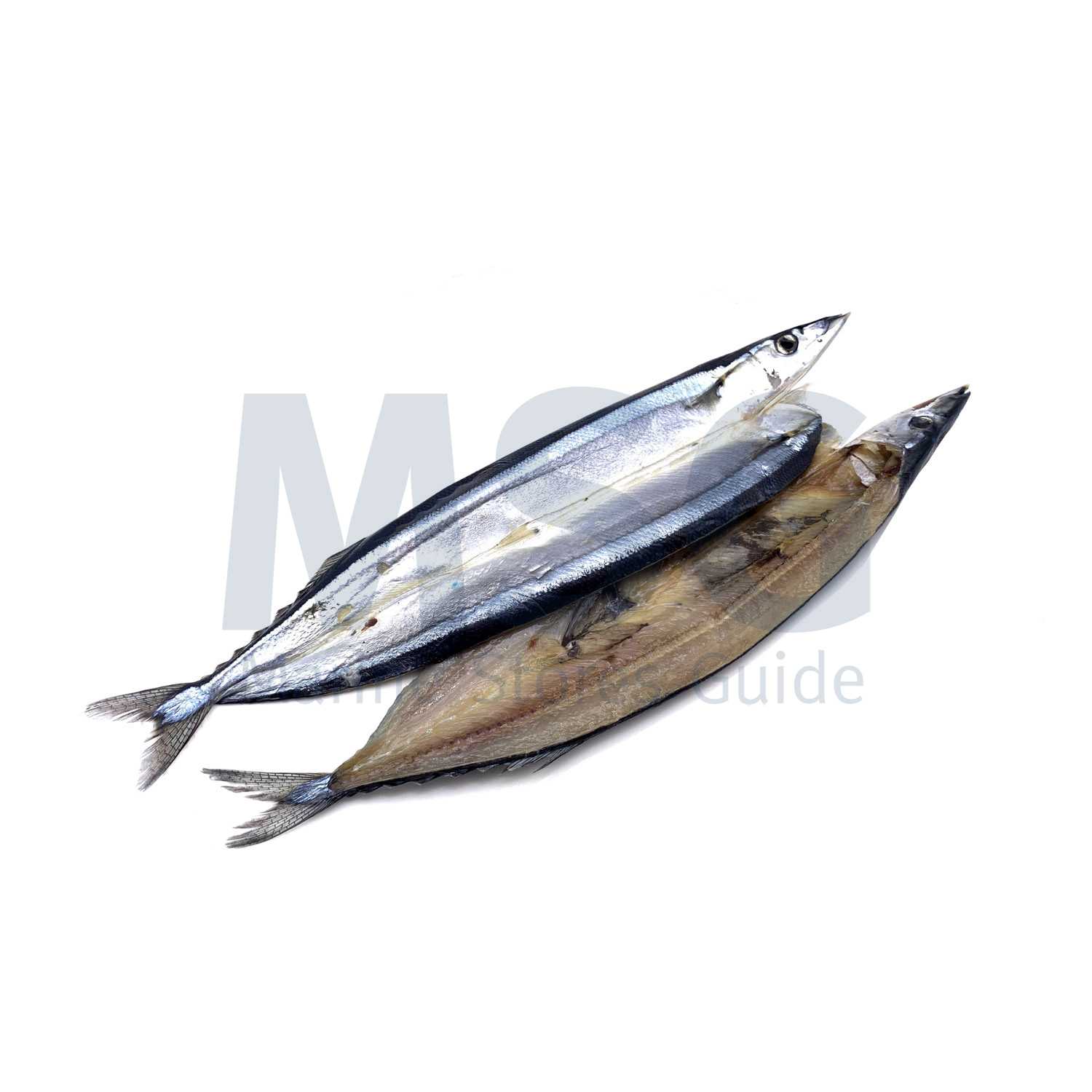 MACKEREL PIKE (SANMA) DRIED