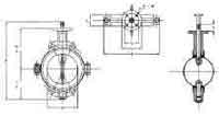 VALVE BUTTERFLY CAST IRON DIN, TEFLON LINED #58 350MM