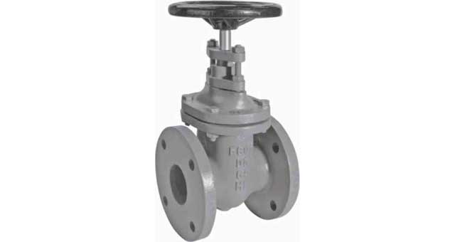 GATE VALVE DIN CAST IRON, FLANGED PN10 #317 DN 50