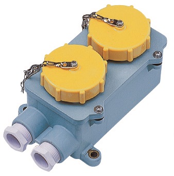 RECEPTACLE DOUBLE W/TIGHT IEC, 2P+E AC100-130V YELLOW RI2-2-2