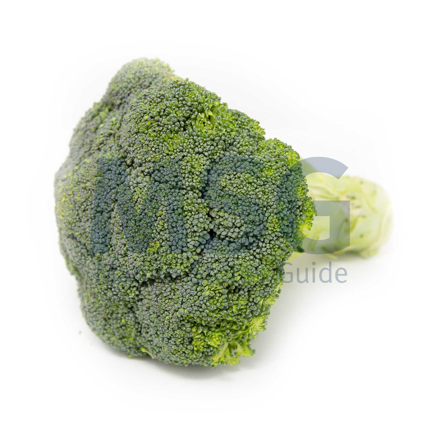 BROCCOLI FRESH