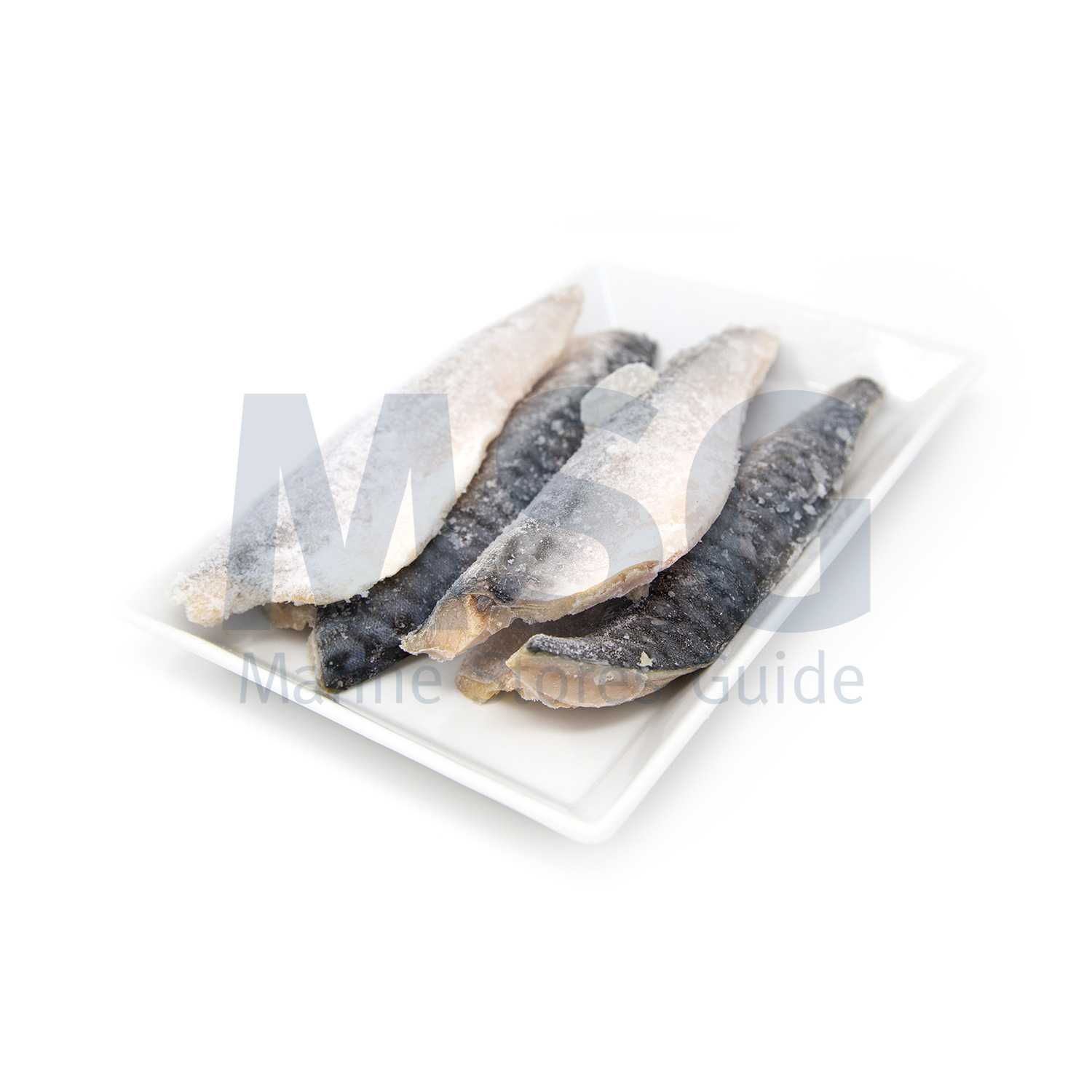 SEABASS FILLET FROZEN