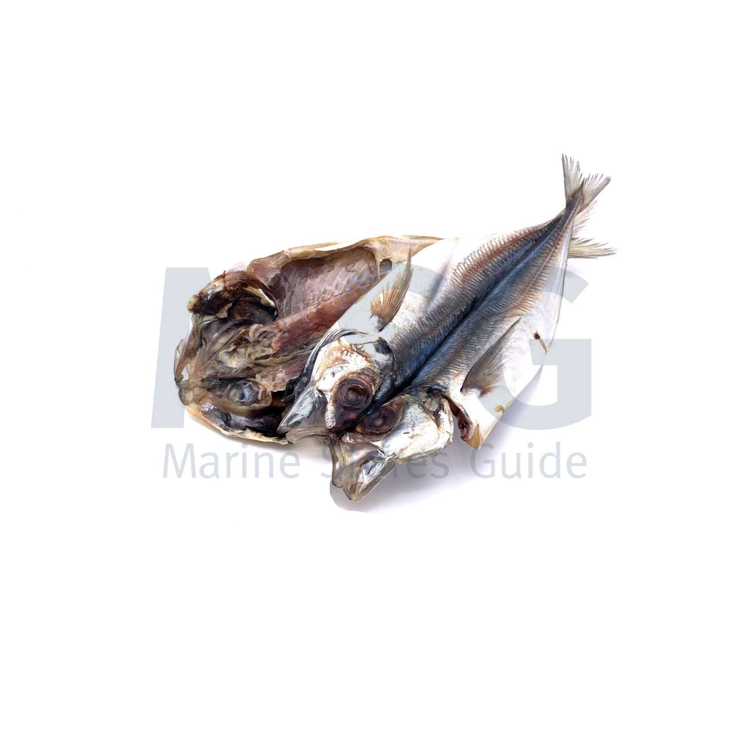 MACKEREL HORSE DRIED