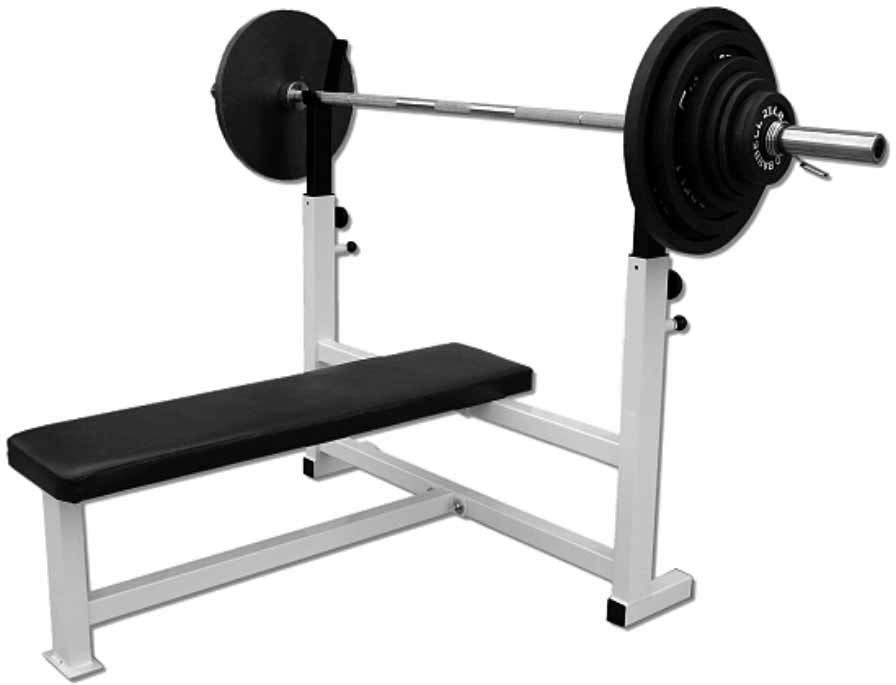 SPINE PRESS BENCH